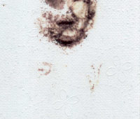 salvatore_difranco
